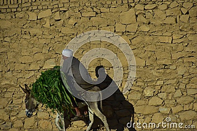 A man riding a donkey in Egypt Editorial Stock Photo