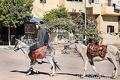 Man riding donkey on the street in Luxor, Egypt Editorial Stock Photo