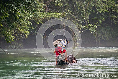 Man Riding Elephant in River. Elephant Drowning in River. Tangkahan Editorial Stock Photo