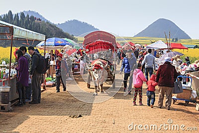 Man riding a waterbuffalo for the tourists among the rapeseed flowers fields of Luoping in Yunnan China . Editorial Stock Photo