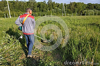 A man rows grass with an oak trimmer in the field, in the yard is summer and the sun shines Stock Photo