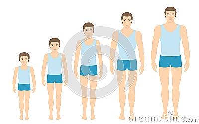 Man`s body proportions changing with age. Vector Illustration
