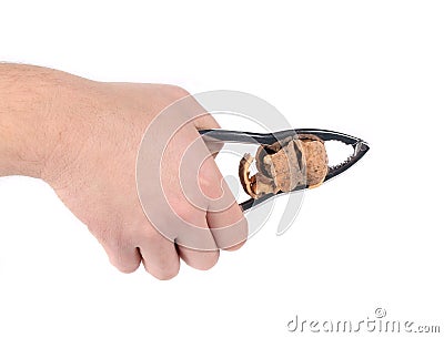 Man's hand cracking a walnut. Stock Photo