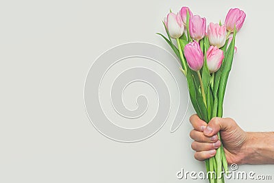 Man`s hand holding bouquet of first spring pink tulips on white background with copy space Stock Photo