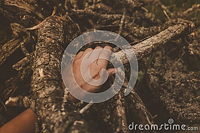 Inside a virgin forest with the hand of a man holding a dry tree branch. Stock Photo