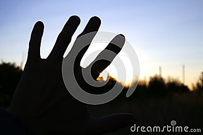 A man`s hand with outstretched fingers Stock Photo