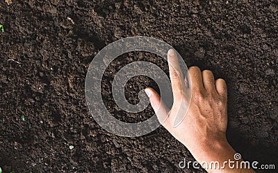 The man`s hand touches the loamy soil with proper technology for cultivating the soil containing the nutrients. Stock Photo