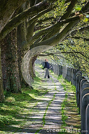 Man in safety helmet trims overgrown lawn round trees by grass cutter Stock Photo