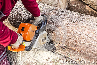 Man sawing a log in his back yard Stock Photo