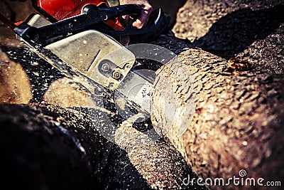 Man sawing a log in his back yard Stock Photo