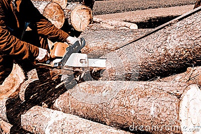 Man sawing a log in his back yard Stock Photo