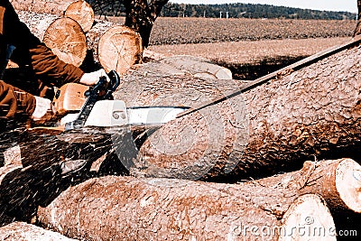 Man sawing a log in his back yard Stock Photo