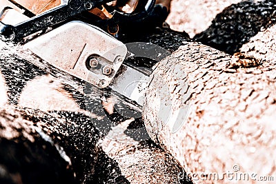 Man sawing a log in his back yard Stock Photo