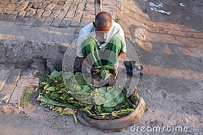 Man selling green betel leaf in Kumrokhali, India Editorial Stock Photo