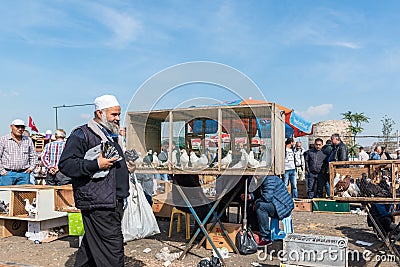 man sells live pigeons kept at cage at Pigeon Bazaar Editorial Stock Photo