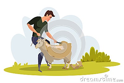 Man shearing sheep flat vector illustration Vector Illustration