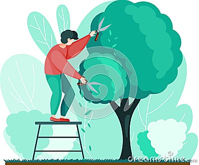 Man shears plants with scissors. Professional garden worker working with bush or tree in backyard Vector Illustration