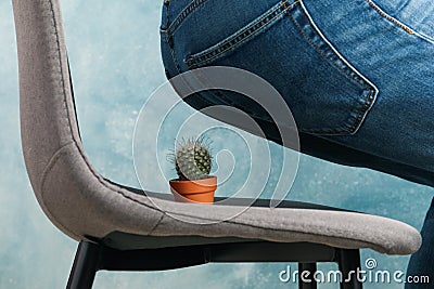 Man sit on chair with cactus. Hemorrhoids Stock Photo