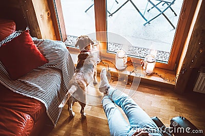 Man sitting in comfortable chair opposite big window in cozy country home and his beagle dog watching in wide window. Countryside Stock Photo