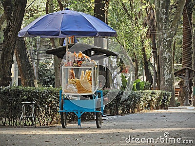 Man sitting next to street food cart with snacks and sweets in `Parque Mexico` Editorial Stock Photo