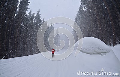 A man ski on the forest trail,Bukovel Stock Photo