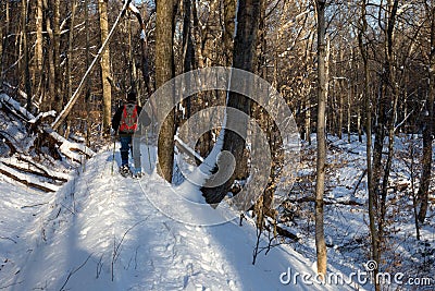 A Man Snowshoes on a Forest Trail Stock Photo