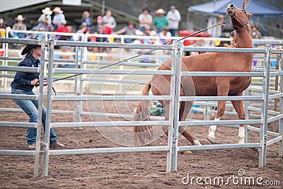 Horsewoman Training Horse at Festival Editorial Stock Photo