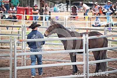 Donal Hancock, Training Horse at Festival Editorial Stock Photo
