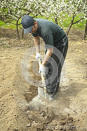 Man with spade Stock Photo