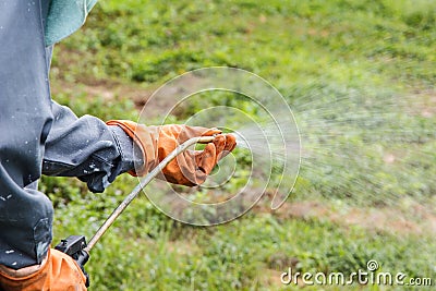 A man is spraying herbicide Stock Photo