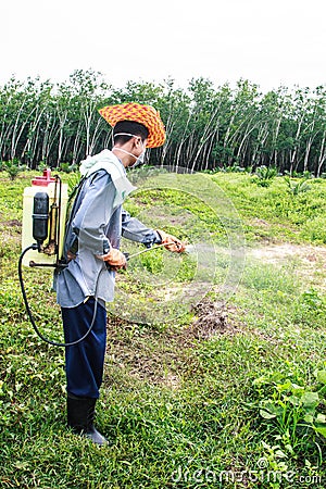 A man is spraying herbicide Stock Photo