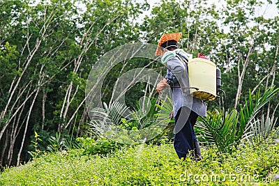A man is spraying herbicide Stock Photo