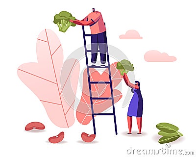 Man Stand on Ladder, Woman Holding Huge Broccoli Piece, Beans and Spinach Scattered around. Healthy Nutrition Vector Illustration