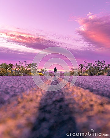 A man standing in the middle of a road in Joshua Tree National Park at sunset Stock Photo