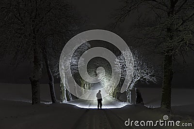 Man standing outdoors at night in tree alley shining with flashlight Stock Photo