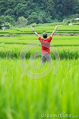 Man standing into rice field Stock Photo