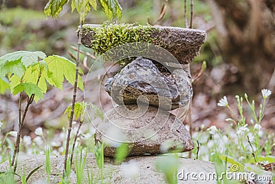 Man of stones stands by the wayside in a forest Stock Photo