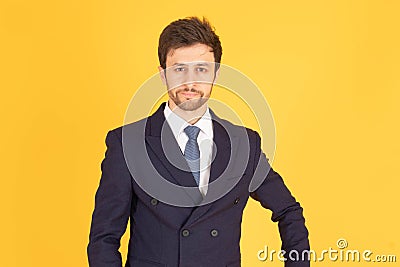A man in a suit with a tie Handsome looking face with beard In the business man look Looking at the front or looking at the camera Stock Photo