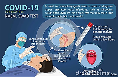 A man is swabbed for a Covid-19 test. to speed corona virus testing,a new type of nasal swab. info graphics vector illustration Vector Illustration