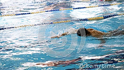 Man Swimming in Pool. Fit young male swimmer training in the pool. Young man swimming the front crawl in a pool. Young Editorial Stock Photo
