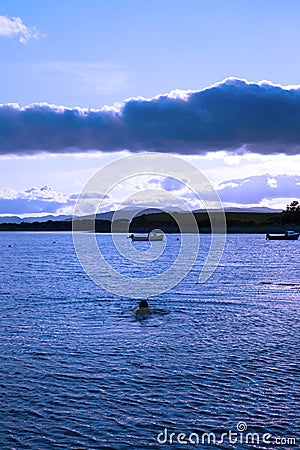 Man swimming in a quiet bay near kenmare Stock Photo