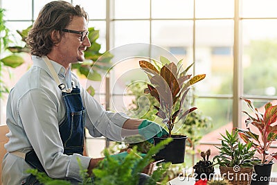 Man taking care of her potted plants at home, gardening, planting at home Stock Photo