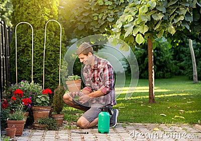 Man taking care of plants in garden Stock Photo