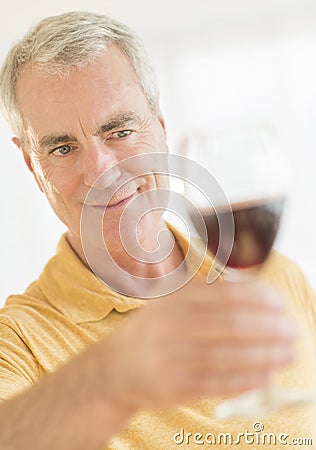 Man Toasting Wineglass At Home Stock Photo