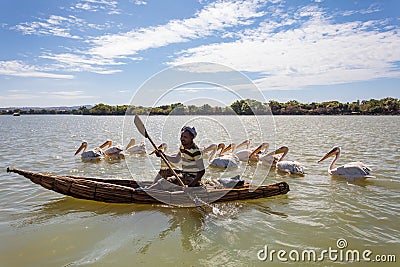 Man on a traditional and primitive bamboo boat feeding pelicans on Lake Tana Editorial Stock Photo