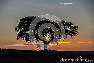 Man and tree silhouette Stock Photo