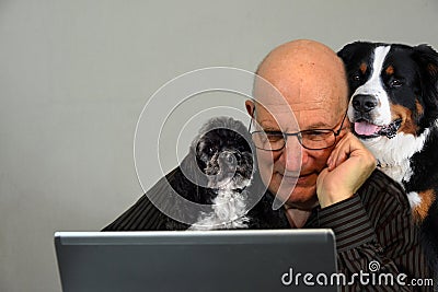 Man tries to work, his dogs keep him company Stock Photo