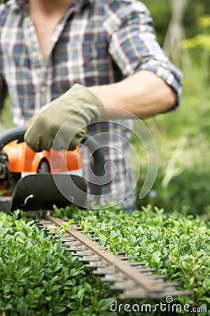 Man trimming hedge Stock Photo