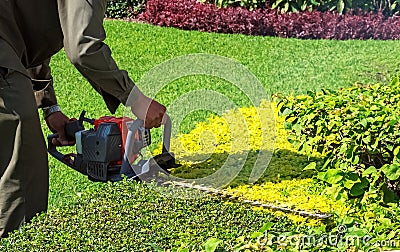 A man trimming shrub with Hedge Trimmer Stock Photo