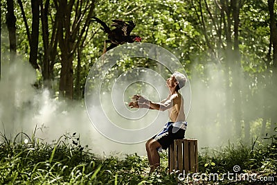 Man trowing Thai gamecock for traning. FitnessThai gamecock Stock Photo